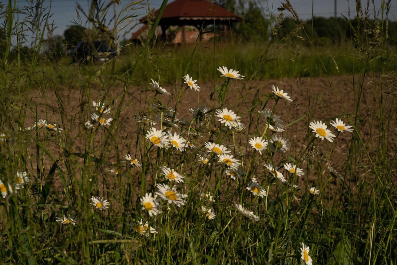 Вилла Rustykalne Klimaty Majdan Zbydniowski Экстерьер фото